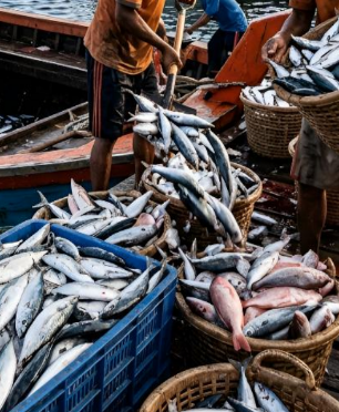 import products artha pangan kencana