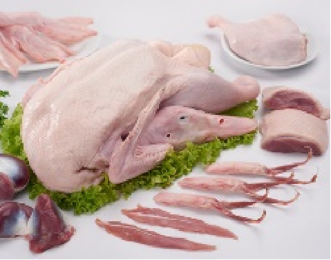 Bebek Artha Pangan Kencana